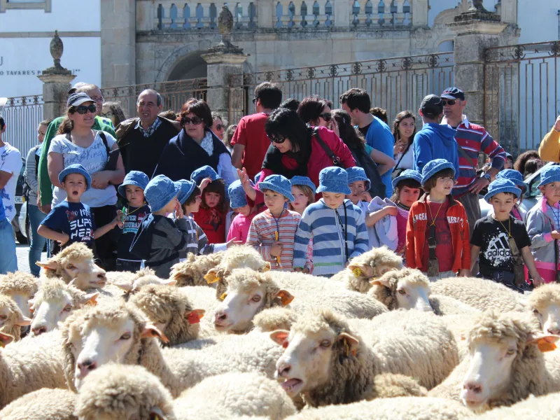 GRT 1 – Srª Mércoles, Castelo Branco