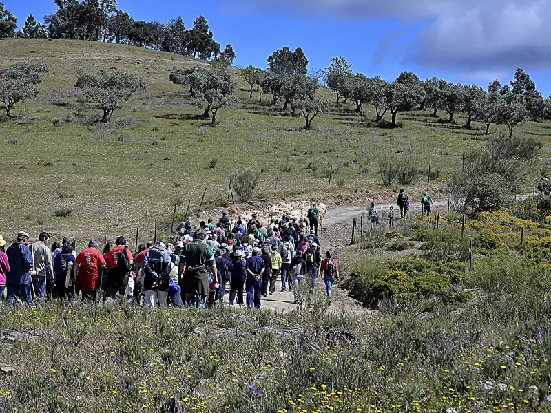 GRT 2 – Alares, Rosmaninhal