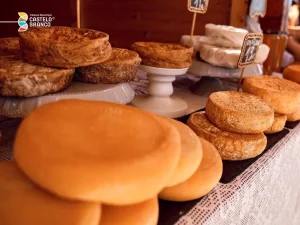 expositor de feira com queijos da Beira Baixa