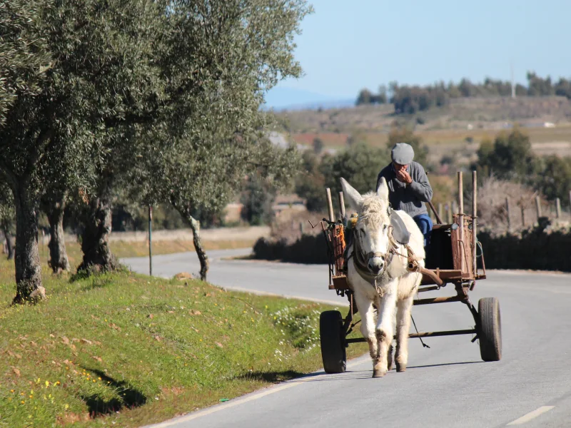 Idanha-a-Nova: Roteiro pela raia da Beira Baixa