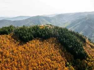 Paisagem aérea sobre o bosque das faias em manteigas