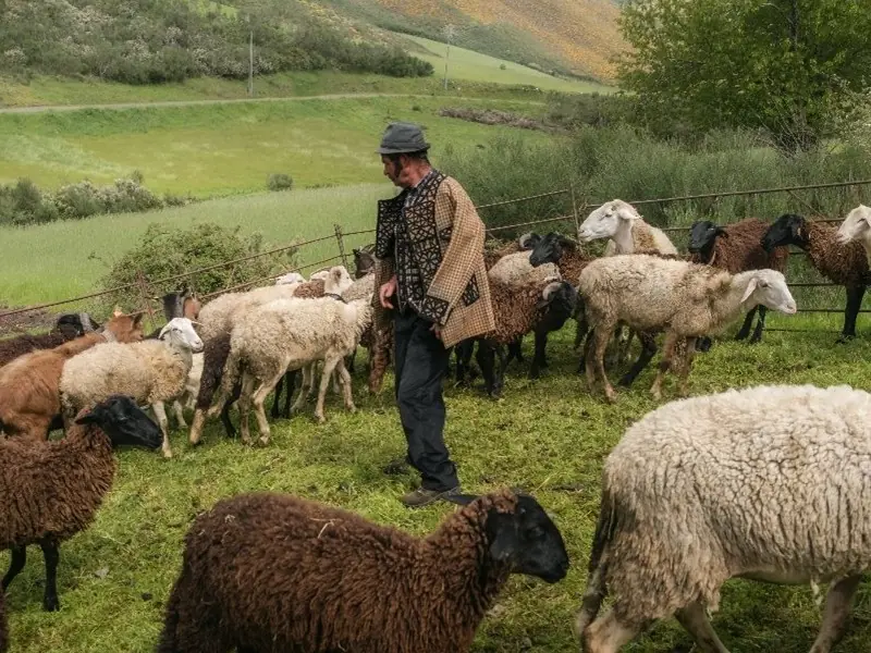 GRT 3 – Cruz das Jogadas, Manteigas