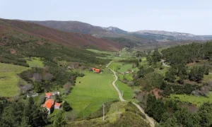 Extenso vale com casas, bosques e prados verdejantes