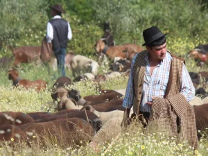pastores no meio de um rebanho de cabras e ovelhas